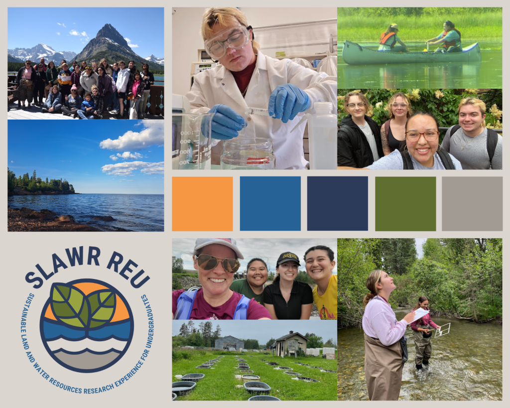 Photos of researchers in nature and lab